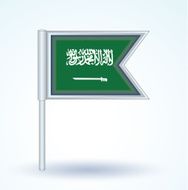 Flag of Saudi Arabia vector illustration N3