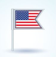 Flag of United states america vector illustration N2