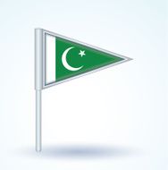 Flag of Pakistan vector illustration N4