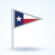 Flag of Texas vector illustration N4