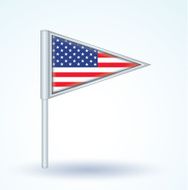 Flag of United states america vector illustration N3