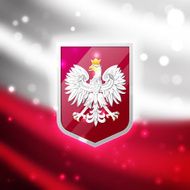 Coat of arms Poland N2