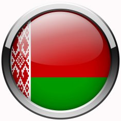 belarus flag gel metal button
