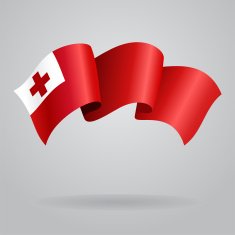 Tonga waving Flag Vector illustration