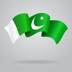 Pakistani waving Flag Vector illustration