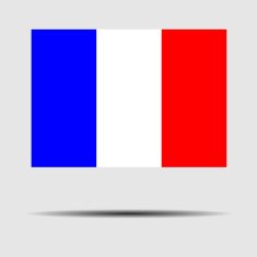 National Flag of France N3