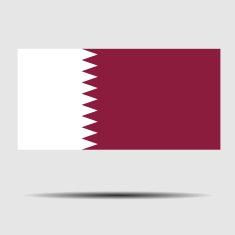 National Flag of Qatar N2