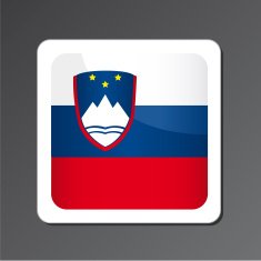 Slovenia Flag Icon N2