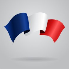 French waving Flag Vector illustration