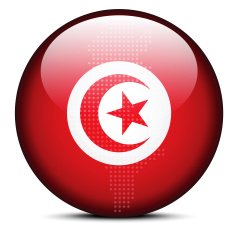 Map with Dot Pattern on flag button of Tunisian Republic