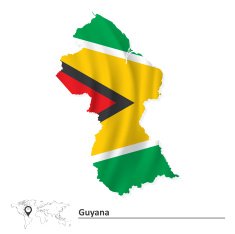 Map of Guyana with flag