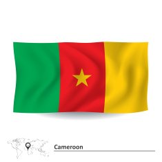Flag of Cameroon N6