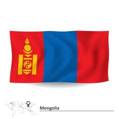 Flag Of Mongolia N9