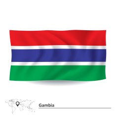 Flag of Gambia N8