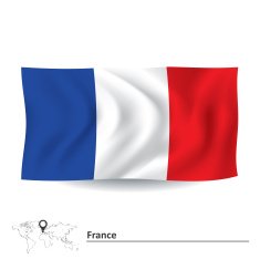 Flag of France N14