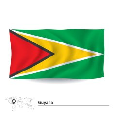 Flag of Guyana N7
