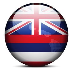 flag button of USA Hawaii State
