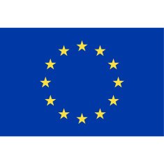 European Union Flag N14