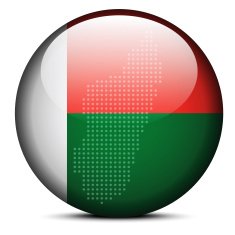 Map with Dot Pattern on flag button of Madagascar