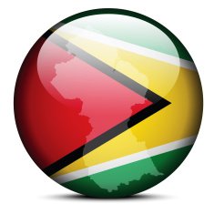 Map on flag button of Guyana N2