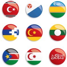 World Flag buttons N53