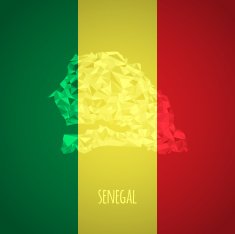 Low Poly Senegal with National Colors