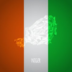 Low Poly Niger with National Colors