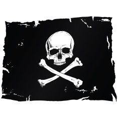 Pirate flag with skull N2