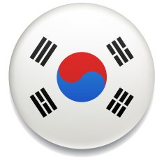 South Korea flag button N2