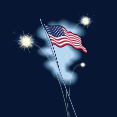 American Flag With Fireworks N3
