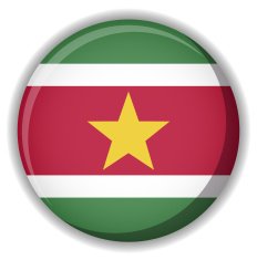 Suriname Flag button vector