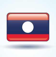Flag of Laos vector illustration N5