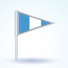 Flag of Guatemala vector illustration N2