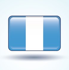Flag of Guatemala vector illustration N5