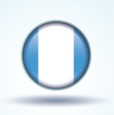 Flag of Guatemala vector illustration N6