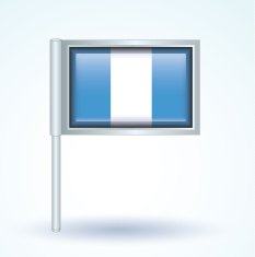 Flag of Guatemala vector illustration N7