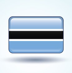 Flag of Botswana vector illustration N2
