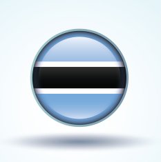 Flag of Botswana vector illustration N3