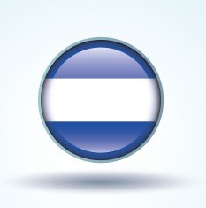 Flag of El Salvador vector illustration N5