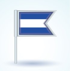 Flag of El Salvador vector illustration N8