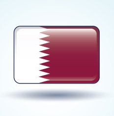 Flag of Qatar vector illustration N6