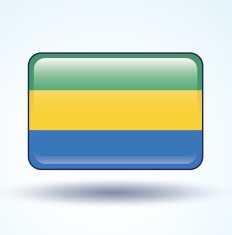 Flag set of Gabon vector illustration N5