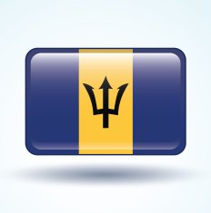Flag of Barbados vector illustration N4