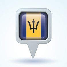 Flag of Barbados vector illustration N9