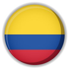 Colombia flag button vector