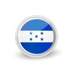 Vector rounded flag button icon of Honduras
