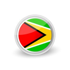 Vector rounded flag button icon of Guyana