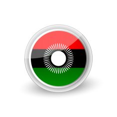 Vector rounded flag button icon of Malawi