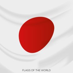 Flags N41