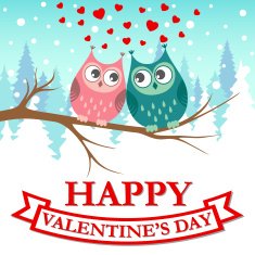 Happy Valentine's Day N45